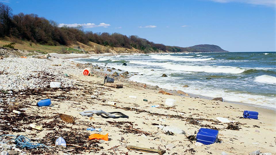 Nedskr&auml;pad strand. &Ouml;sterlen, Sk&aring;ne, Sverige