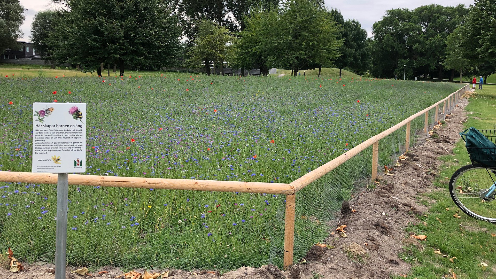 En blomsteräng med ett staket runt och en informationsskylt