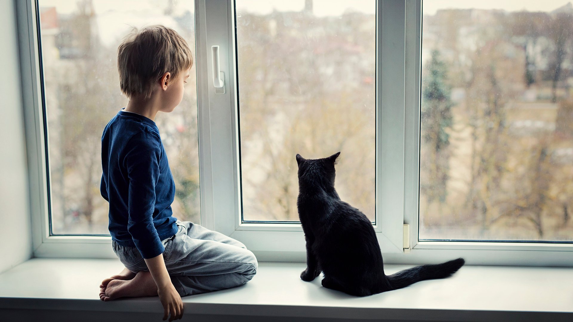 Barnet och svart katten tittar ut genom fönstret.