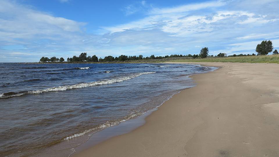 En strand i Haparanda skärgårds nationalpark