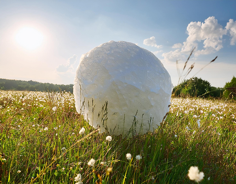 AI-skapad snöboll sommaräng