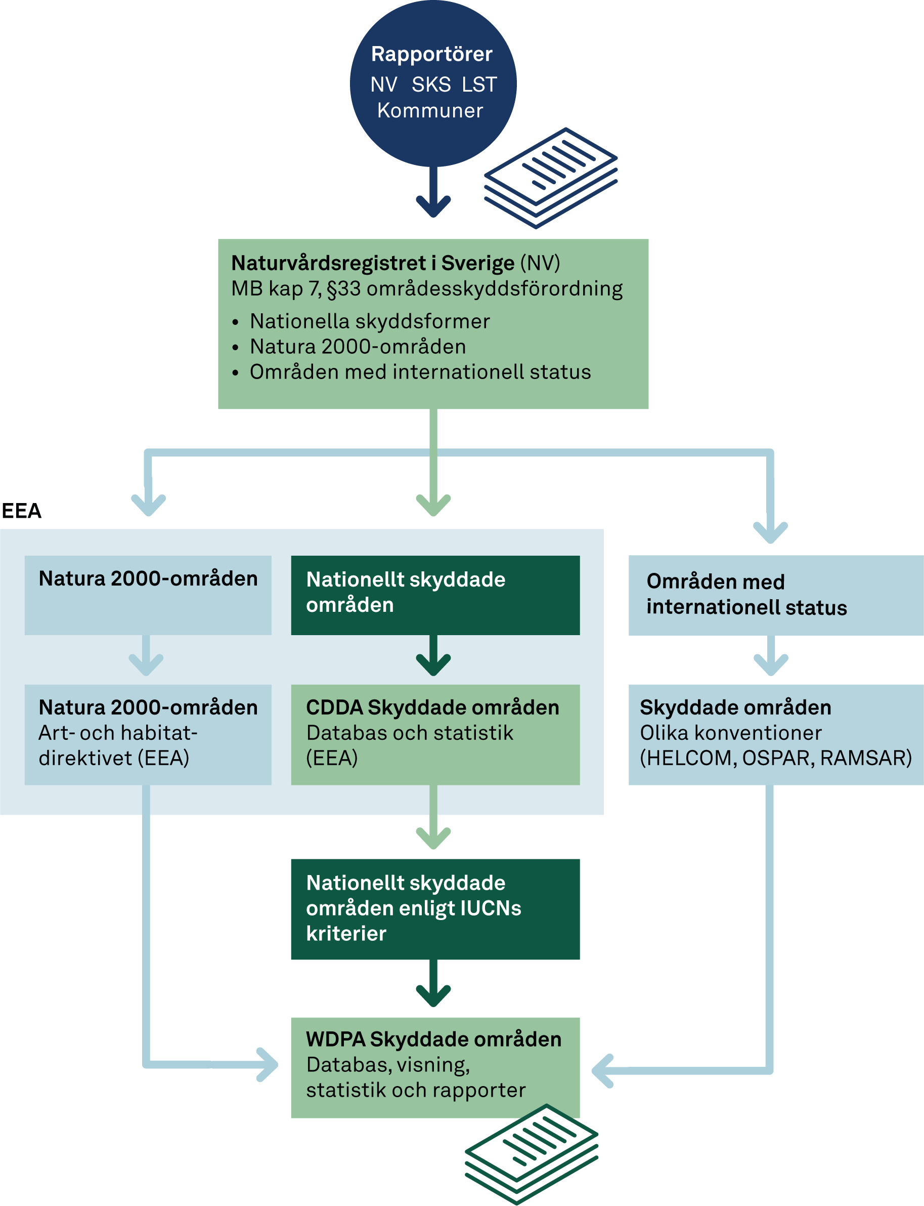 Figuren visar nuvarande fl&ouml;desschema f&ouml;r rapportering av skyddade omr&aring;den. De gr&ouml;na rutorna visar datafl&ouml;det som beskrivs n&auml;rmare rapporten. I Sverige rapporterar Skogsstyrelsen (SKS), l&auml;nsstyrelserna (LST) och kommunerna sina beslut om omr&aring;desskydd till naturv&aring;rdsregistret. Naturv&aring;rdsverket (NV) registrerar regeringens beslut om nationalparker och Natura 2000 samt internationellt skyddade omr&aring;den i naturv&aring;rdsregistret.