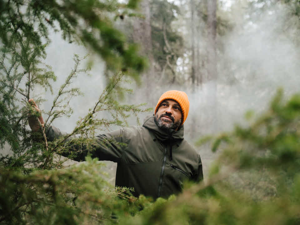 Man i skogen tittar fram bakom granar