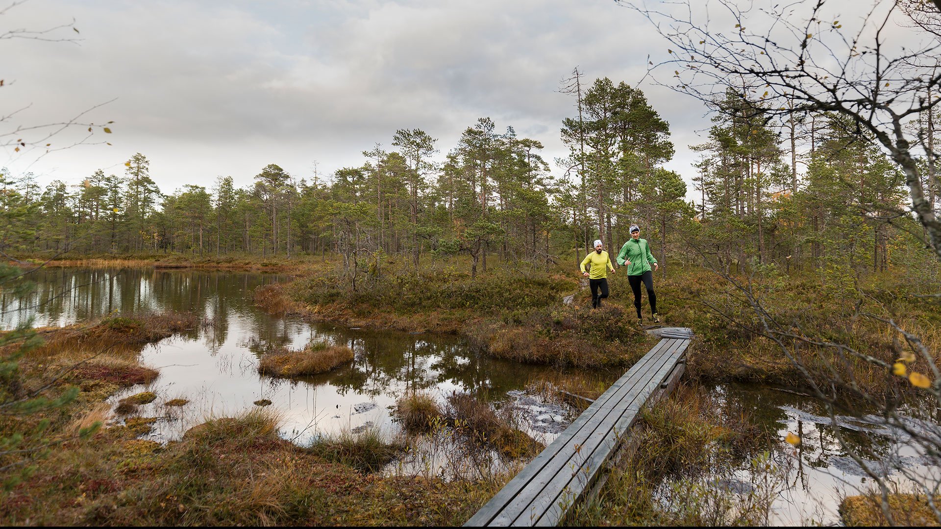 Två personer på löptur över en våtmark