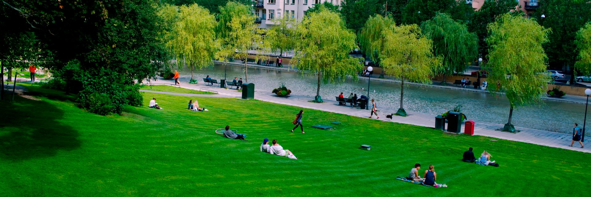 Lunch på gräsmattan, Observatorielunden, Stockholm